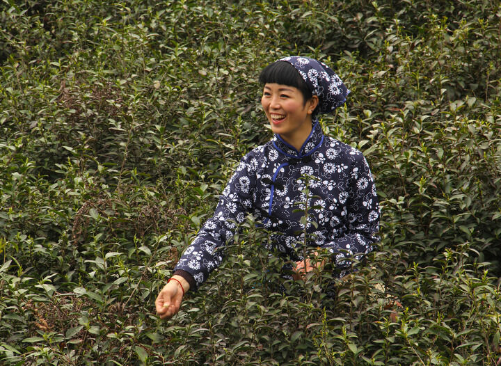 迷雾剧场